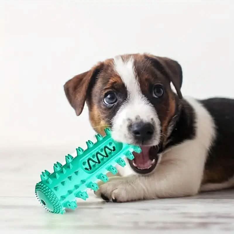 Dog Chew Toys Dog Toothbrush Stick